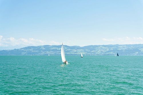 Leisure captains on Lake Constance