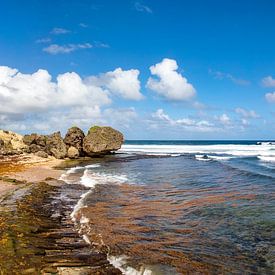 Plage de Bathsheba à la Barbade, Caraïbes sur AidasignArt