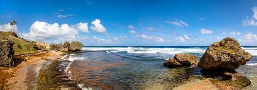 Bathsheba Beach op Barbados, Caraïben