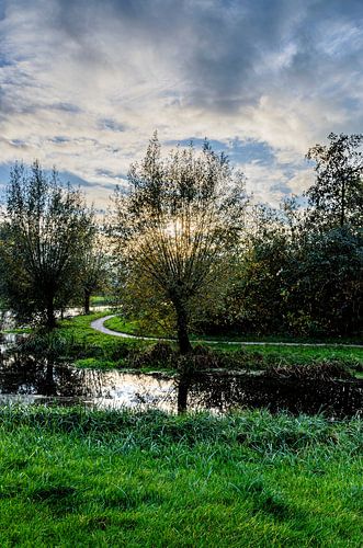 Untergehende Sonne.