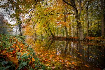 Traumwald in Wassenaar von Dirk van Egmond