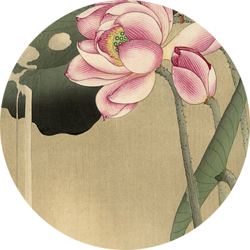 Lotus met vogel, Ohara Koson