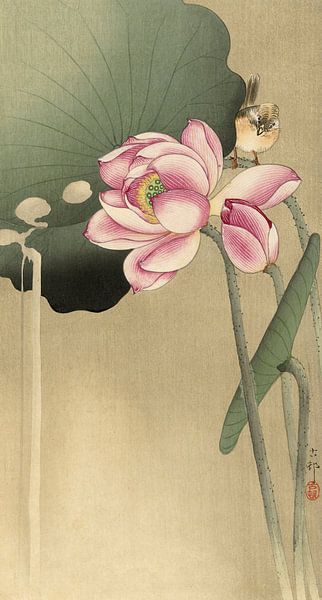 Lotus mit Vogel, Ohara Koson von 1000 Schilderijen