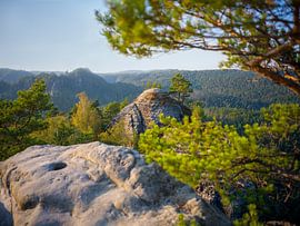 Uitzicht vanaf de Gamrig (Saksisch Zwitserland/Elbezandsteengebergte) van t.ART