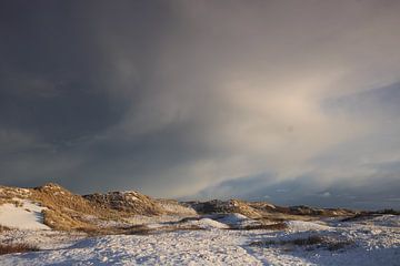 Ameland winter wonderland