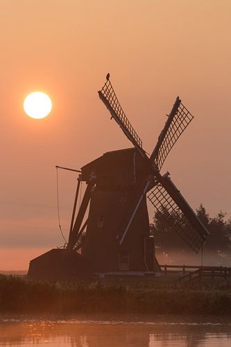 Zonsopkomst bij de molen met buizerd op de wiek