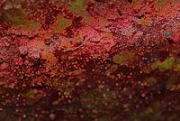 mars, lava burning terra