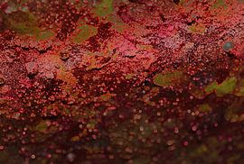 mars, lava burning terra van cees vermeulen windsant