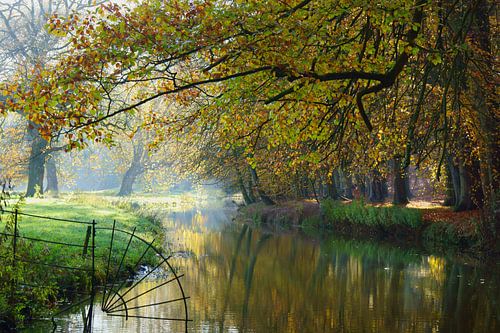 Herfst op Landgoed Elswout