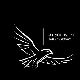 Patrick Haleyt Photography profielfoto
