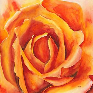 Orange Rosenblüte