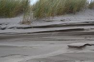 Erosion dune sand by Erick van Bommel thumbnail