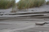 Erosion dune sand