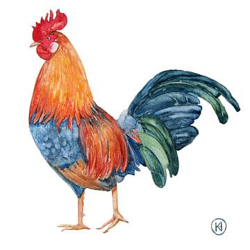 Rooster, colourful realistic painting