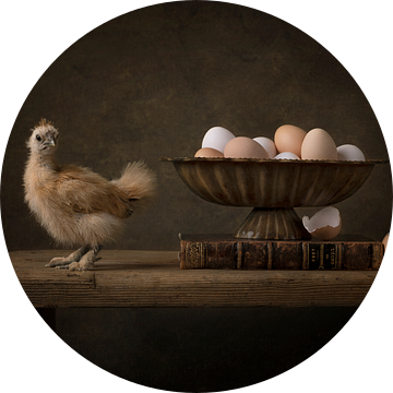 Kuiken met eieren van Carolien van Schie
