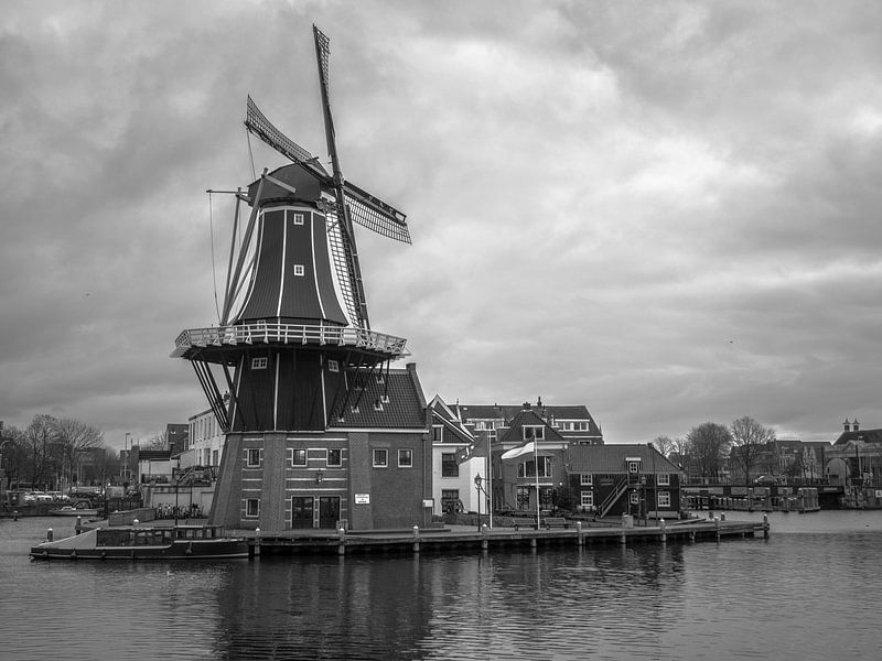 Mühle in Haarlem von Martijn Tilroe