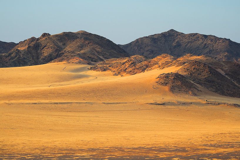 Wüstenlandschaft Namibia von Bobsphotography