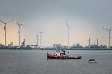 Watergate DelfSail 2024 by Jan Georg Meijer