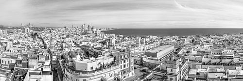 Skyline van Cádiz in zwart-wit