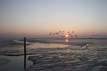 Swarm across the mud flats near Schiermonnikoog by Gerda de Voogd