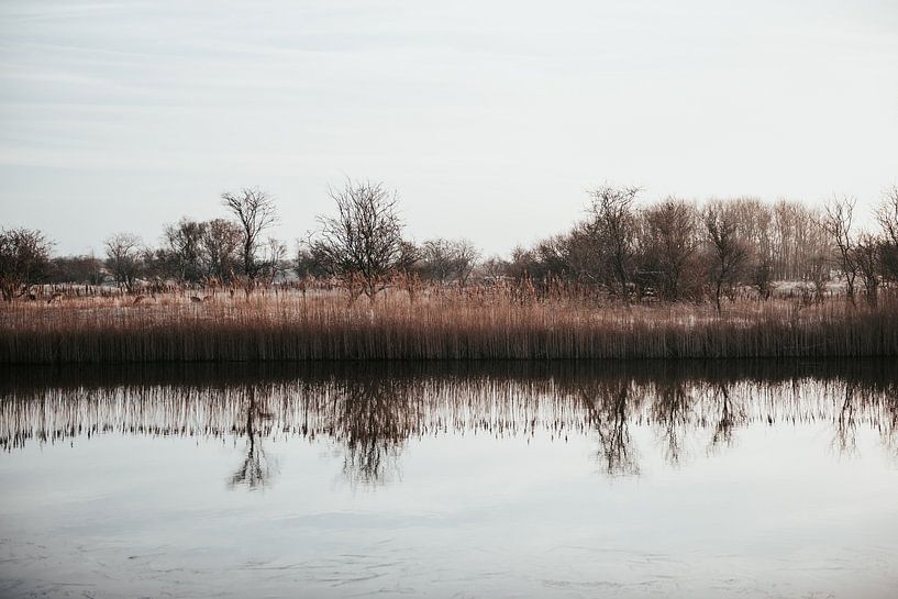 Skyline Amsterdam Wasserversorgung Dünen von Sanne Dost