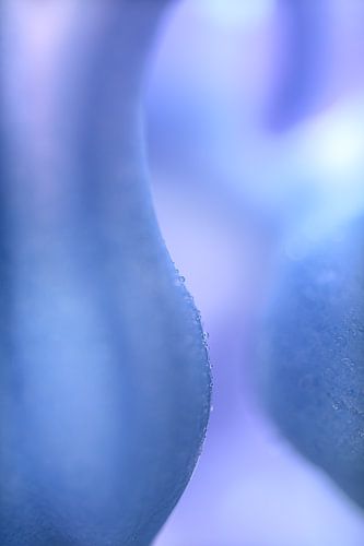 Pastelkleurige rondingen