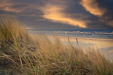 Uitzicht over het strand op Usedom met duinen aan de ene kant en de Baltische Zee aan de andere kant van Martin Köbsch
