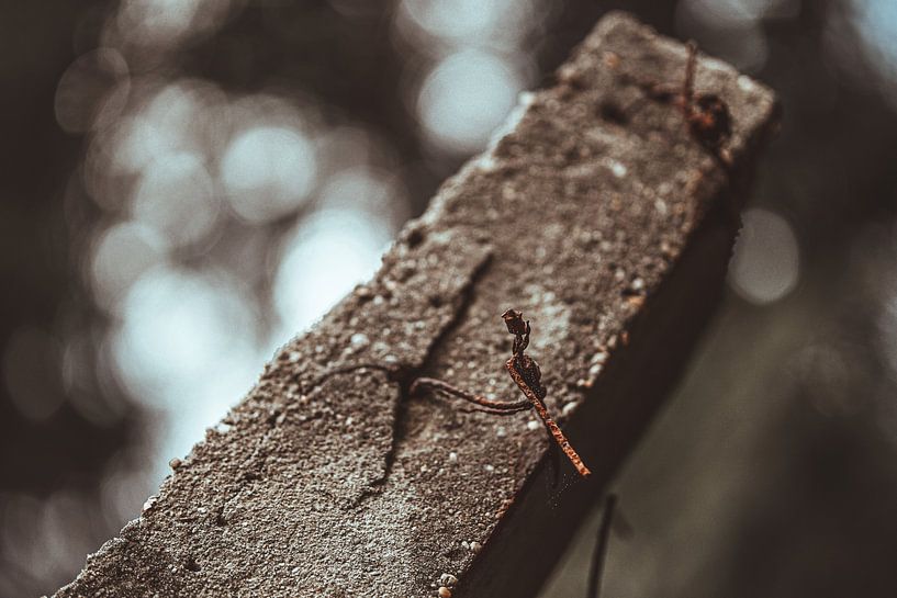 Part of the fence of camp Westerbork by MdeJong Fotografie