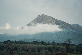 Breathtaking view of Mount Nimba in Guinea, Africa, with clouds drifting above the lush forest.