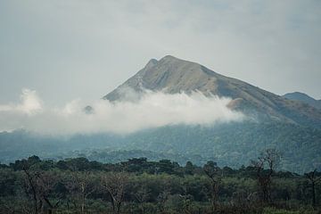 Reis door Afrika en de Jungles van Guinee naar Mount Nimba van Tobias van Krieken