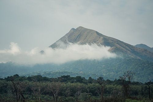 Breathtaking view of Mount Nimba in Guinea, Africa, with clouds drifting above the lush forest. by Tobias van Krieken