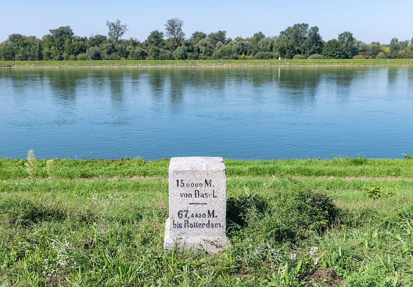 Cycling on for a while by Richard Wareham