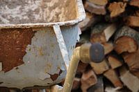 Hout