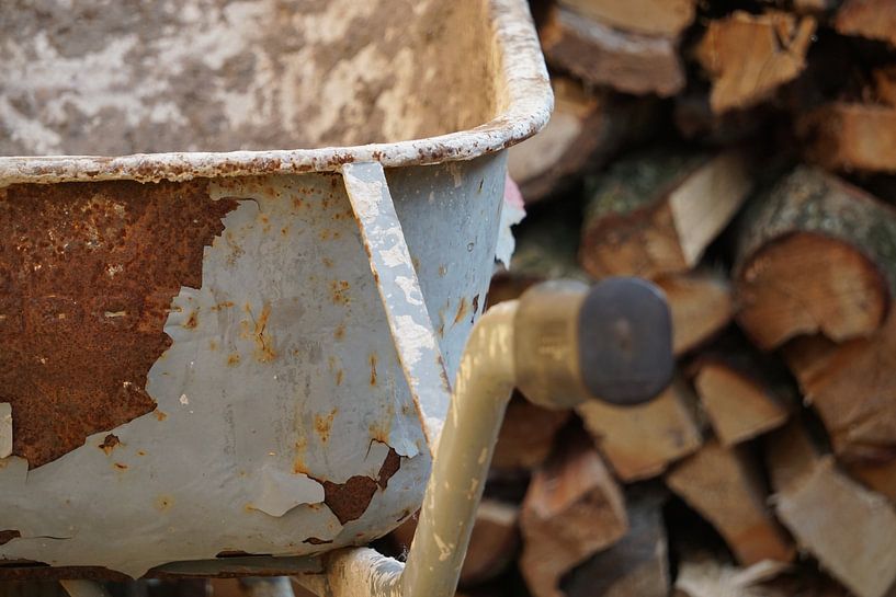 Hout by Alise Zijlstra