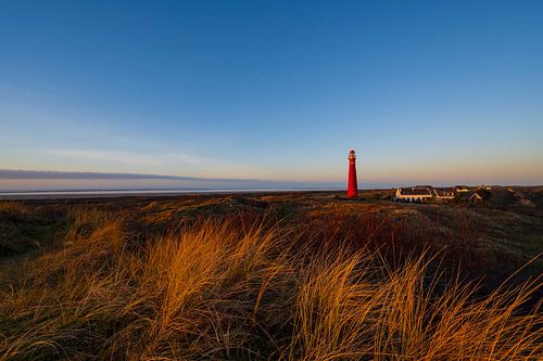 Schiermonnikoog vue panoramique dans les dunes avec le phare