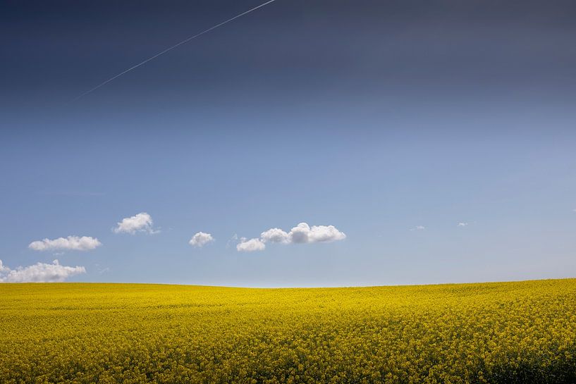 Paysage - Jaune &amp;amp ; bleu. par Johan Cusseneers