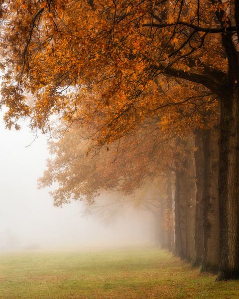 Autumn Mist van Bart Hendrix