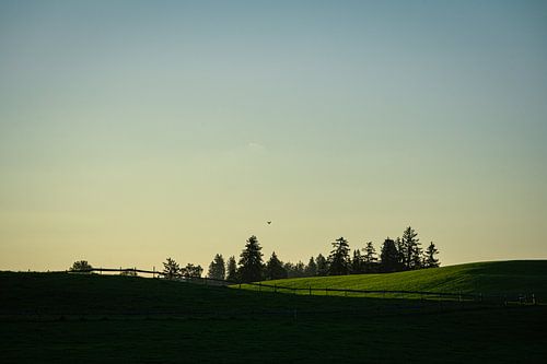 Silent hills in the golden light