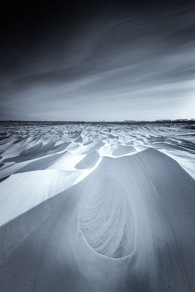 Sneeuwduinen in het Nationaal park Lauwersmeer in Groningen na een sneeuwstorm in zwart wit. De mooi van Bas Meelker