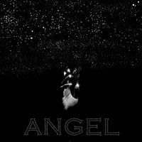 Angel Coverart - black and white