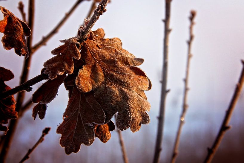 wintertijd par Marianne Bras