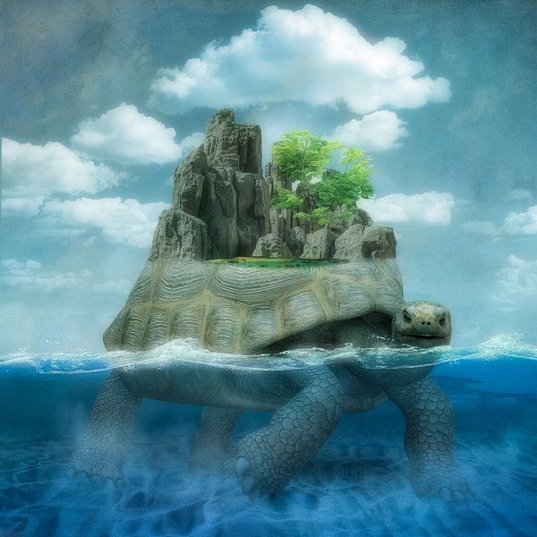 The Tortoise Island par Marja van den Hurk