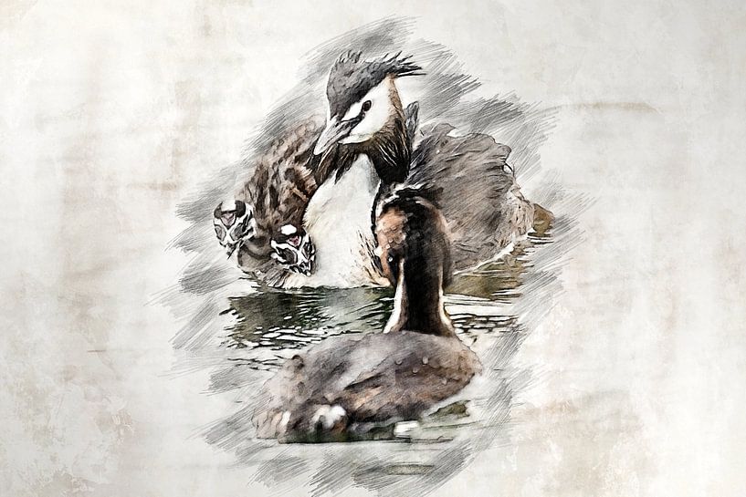 Crested grebe with young (drawing) by Art by Jeronimo