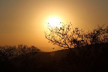 Zonsondergang, Zui-Afrika