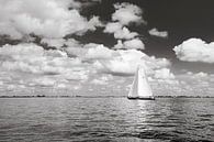 Sailing on lake Tjeukemeer under beautiful Dutch sky by ThomasVaer Tom Coehoorn thumbnail