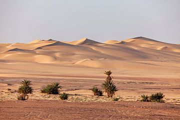 De zandduinen van de Sahara in Algerije van Roland Brack