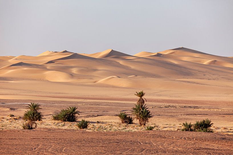 The sand dunes of the Sahara in Algeria by Roland Brack