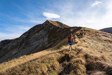 Allgäuer Hochalpen von Leo Schindzielorz