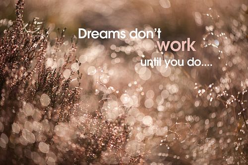 Quote: Dreams don't work until you do...