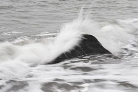 Platsch! von Jörg Hausmann